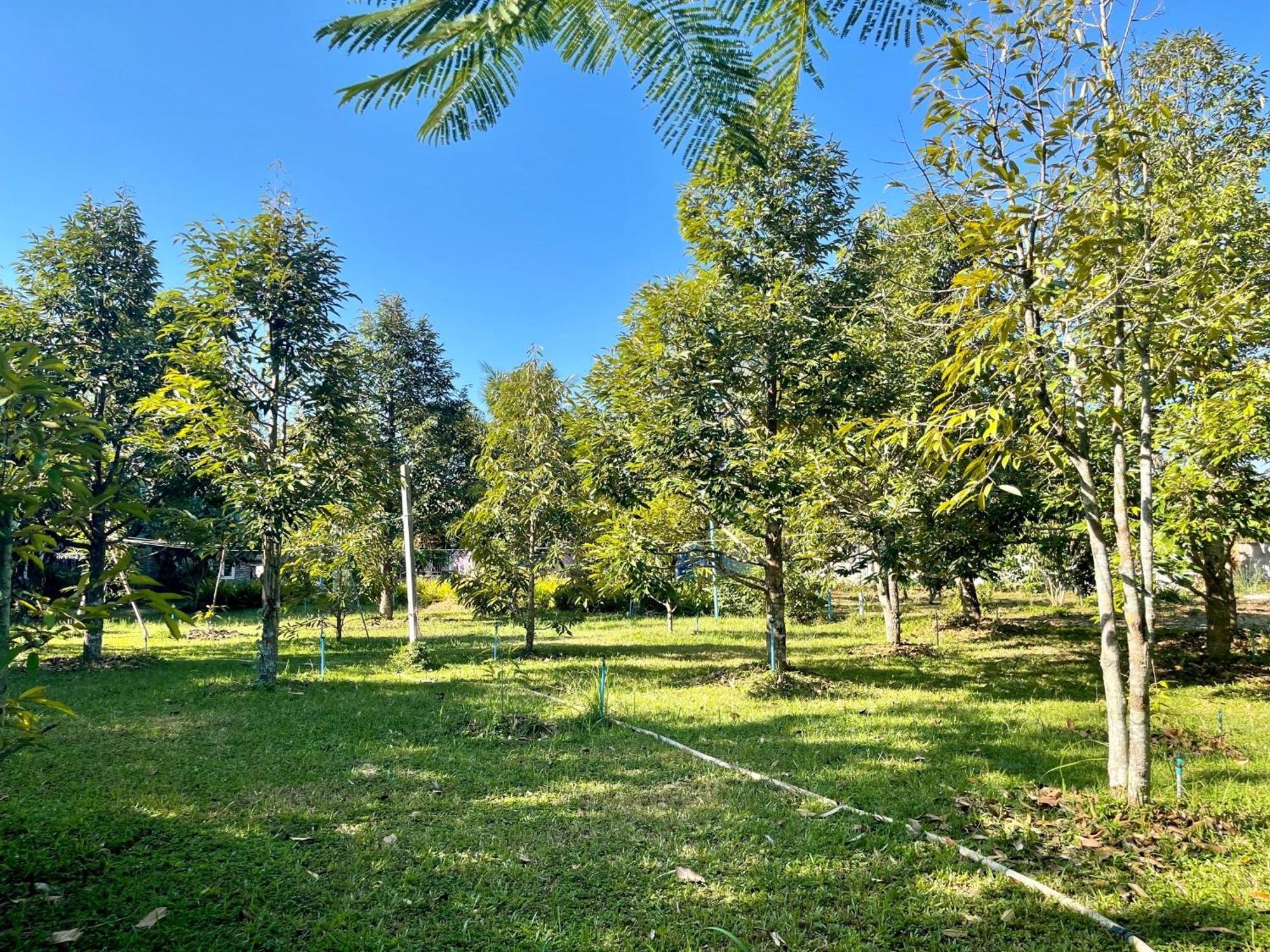 Panpim Resort Noen Hom Buitenkant foto